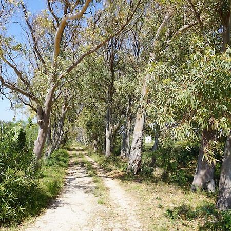 Bivilla Incalzi Villanova di Ostuni Dış mekan fotoğraf